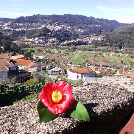 Casinha Da Sobreira Βίλα Penacova Εξωτερικό φωτογραφία