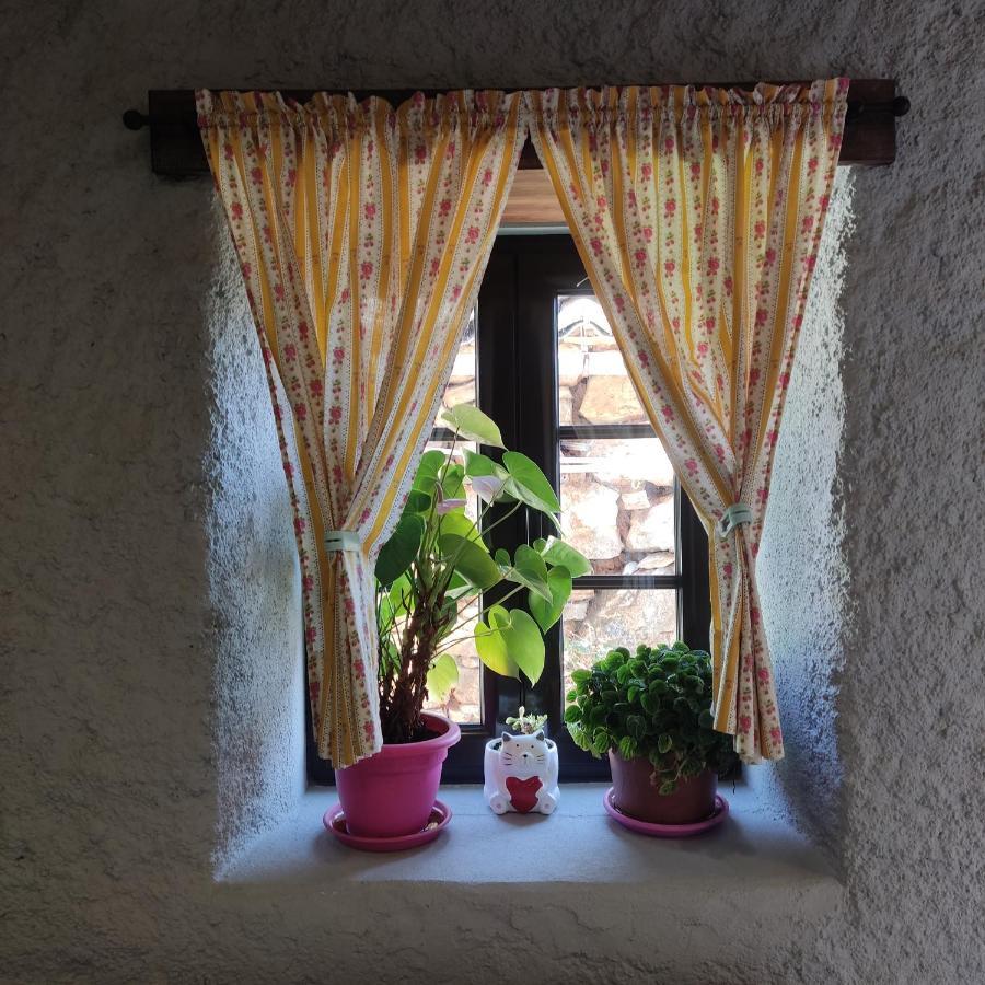 Casinha Da Sobreira Βίλα Penacova Εξωτερικό φωτογραφία