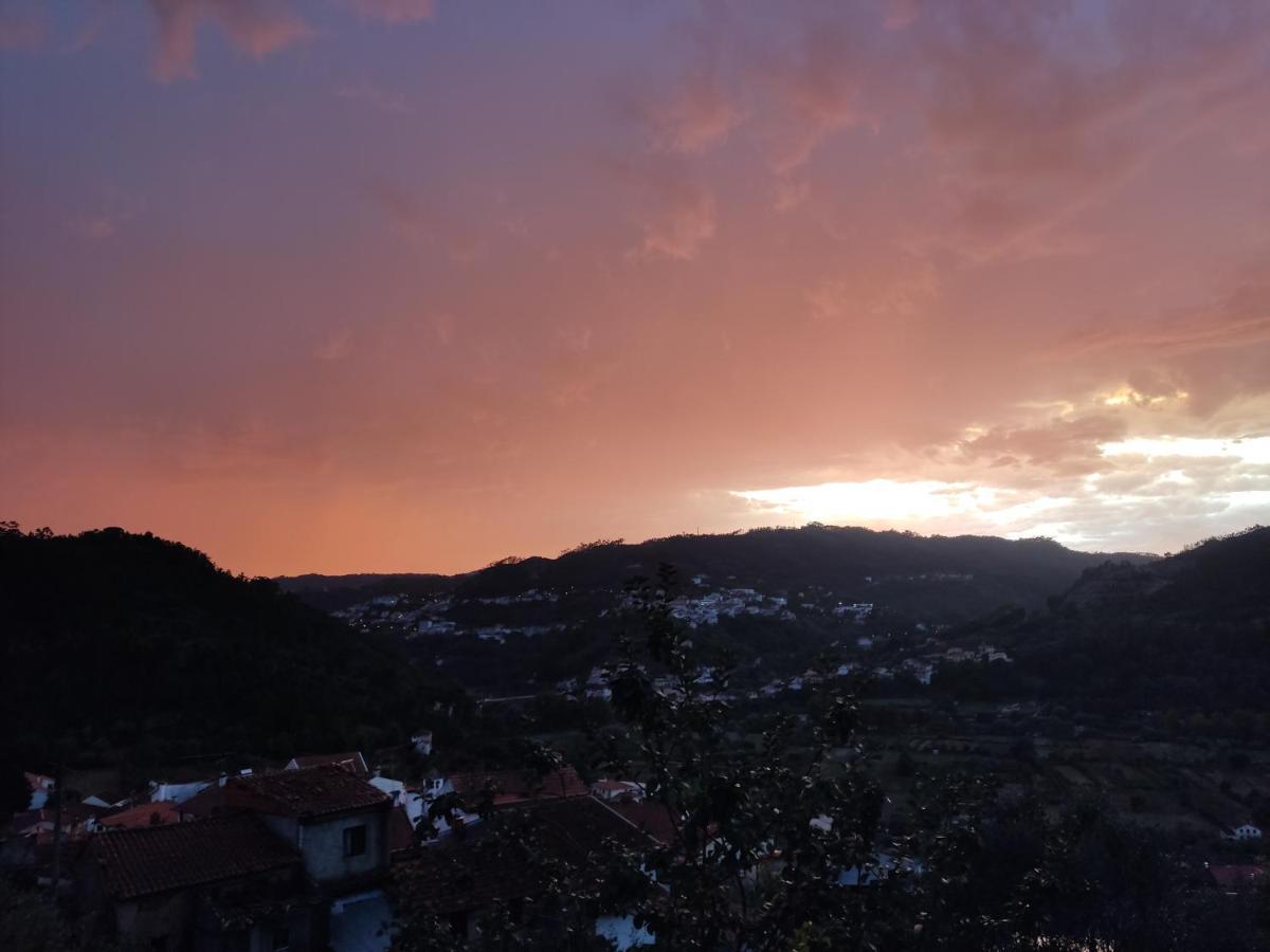 Casinha Da Sobreira Βίλα Penacova Εξωτερικό φωτογραφία