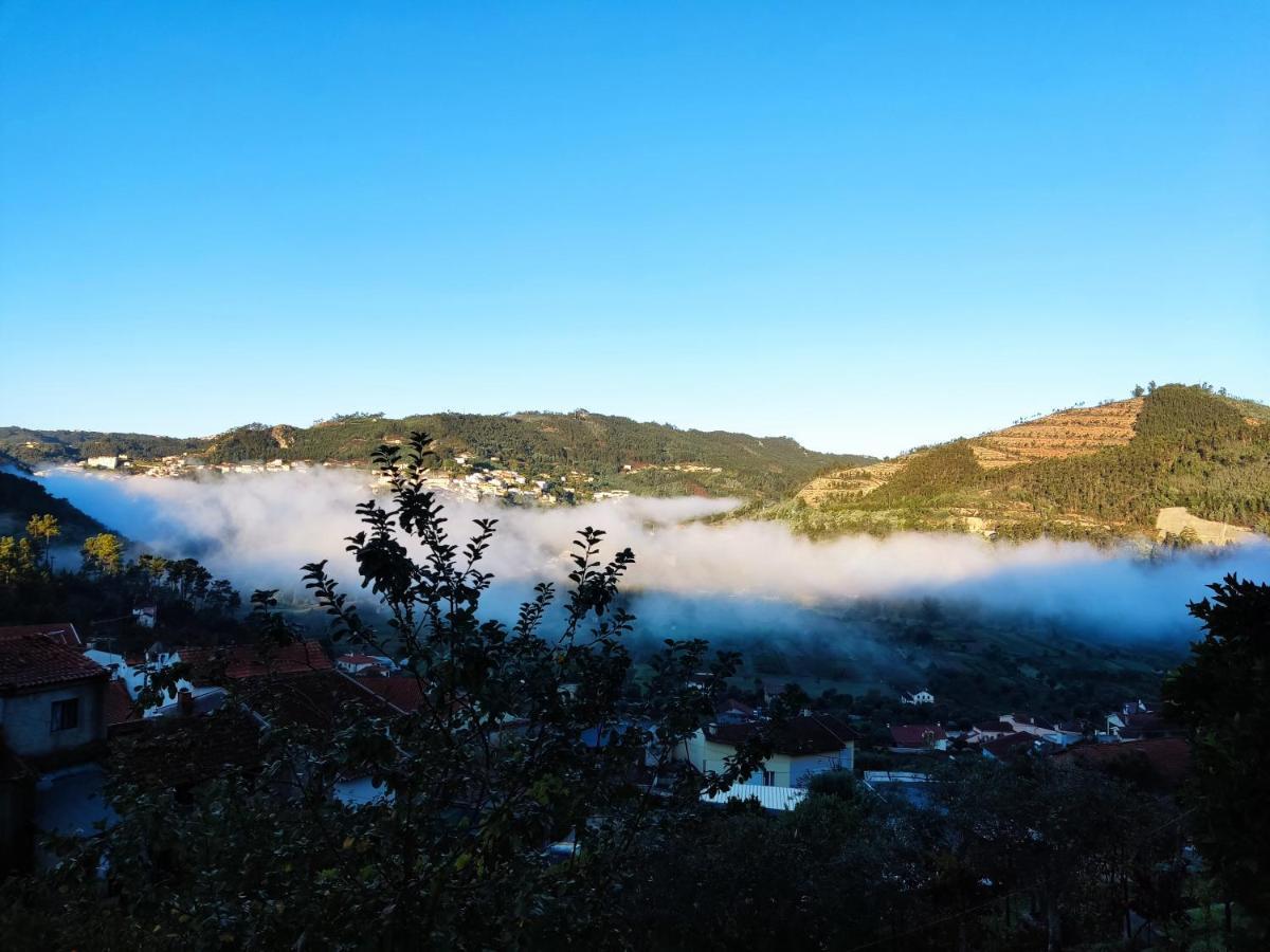 Casinha Da Sobreira Βίλα Penacova Εξωτερικό φωτογραφία