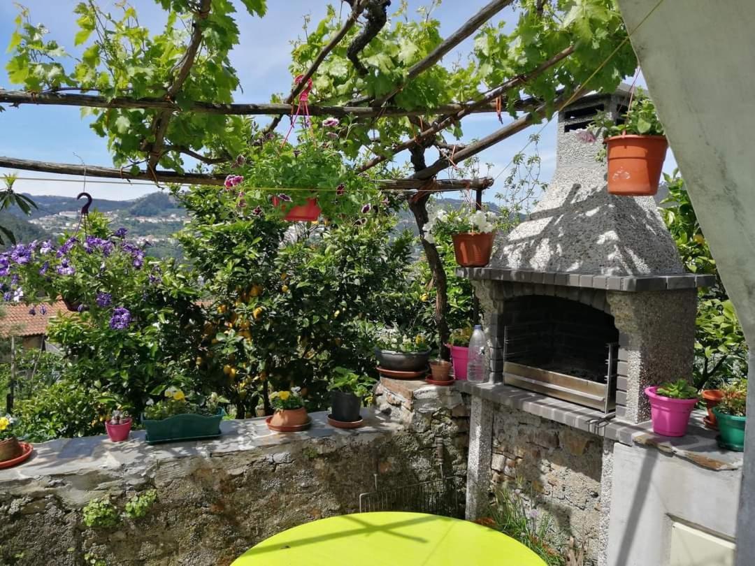 Casinha Da Sobreira Βίλα Penacova Εξωτερικό φωτογραφία