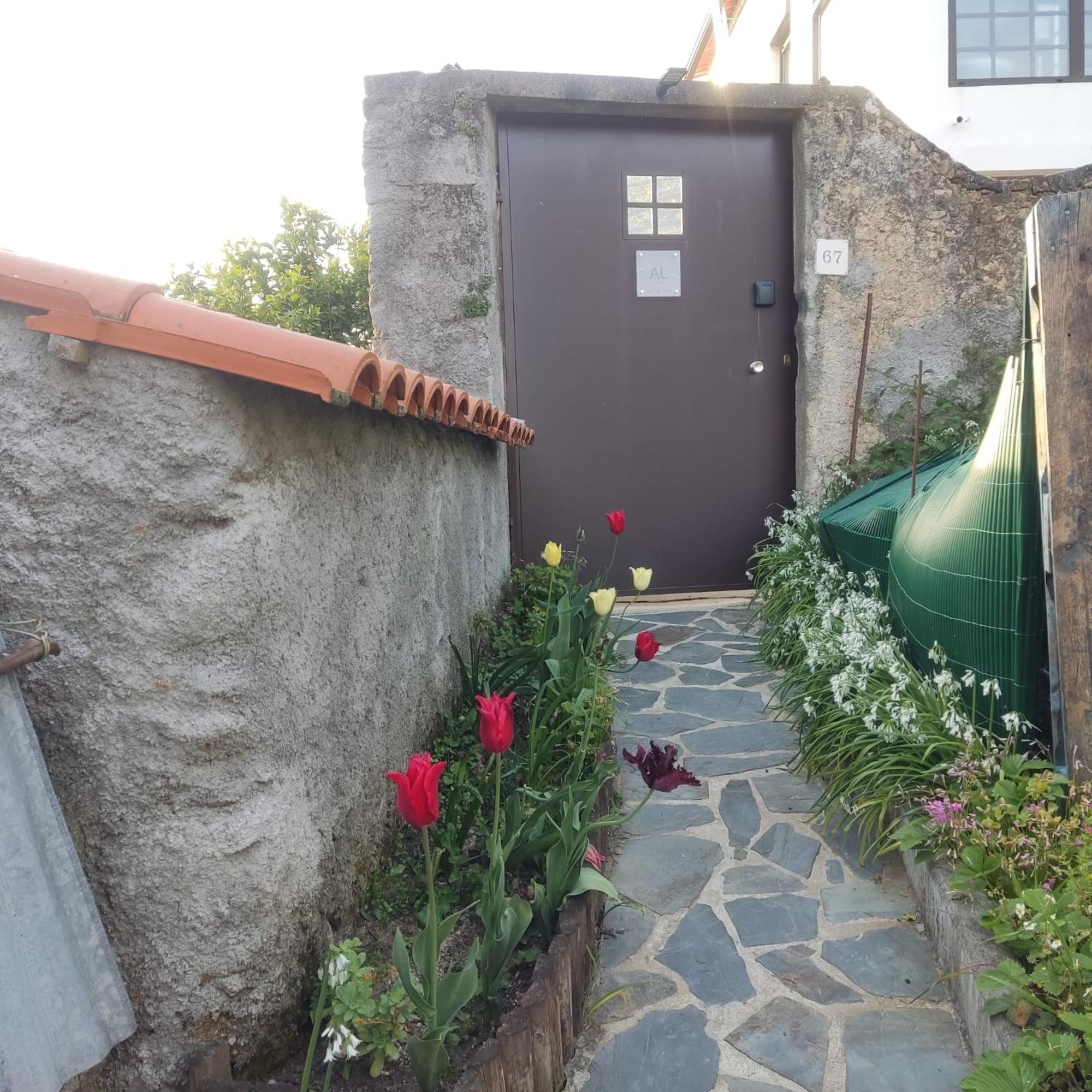 Casinha Da Sobreira Βίλα Penacova Εξωτερικό φωτογραφία